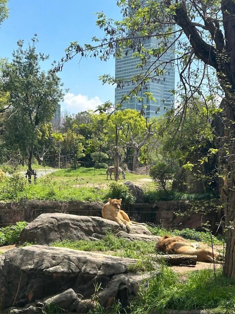 Reifa宿泊動物園前2 Osaka Eksteriør billede